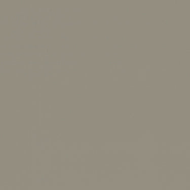 Root NE85 matte Silk interieurfolie greige kleurstaal